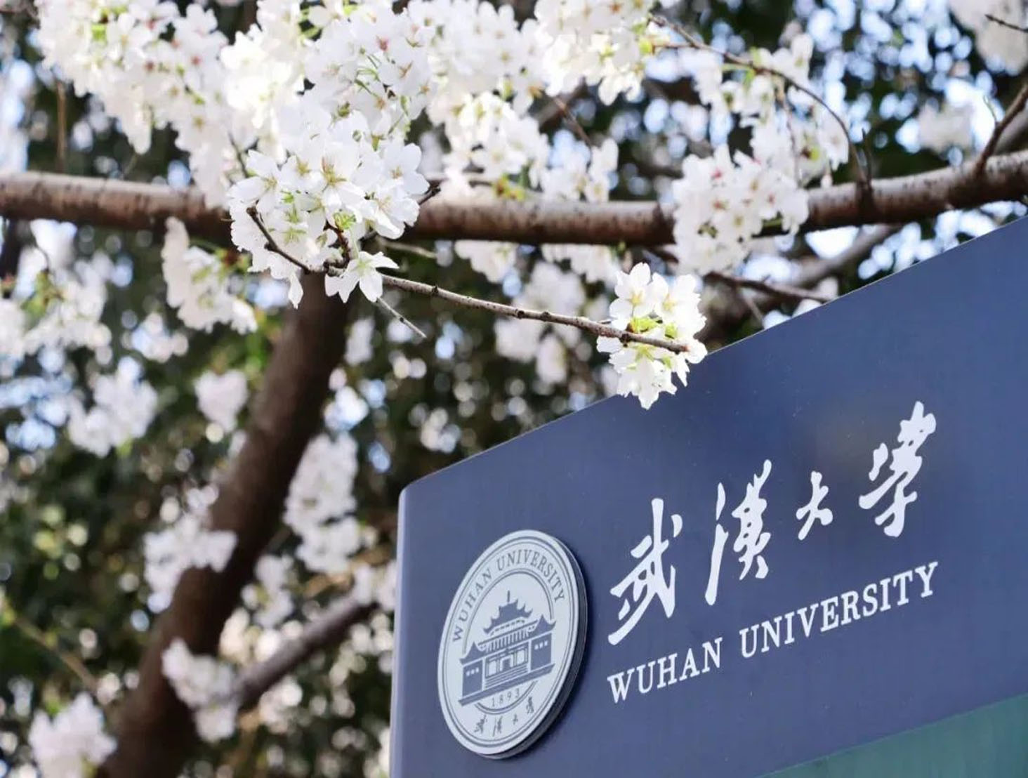 高等院校實驗室